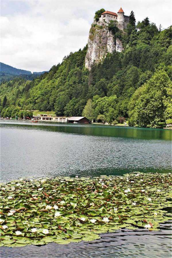 Penzion Zaka Bled Exteriör bild