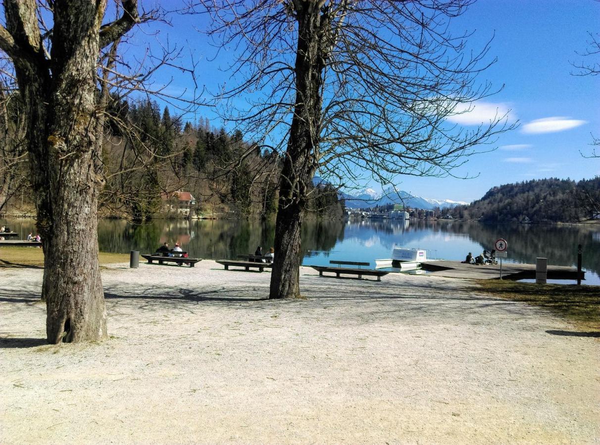 Penzion Zaka Bled Exteriör bild