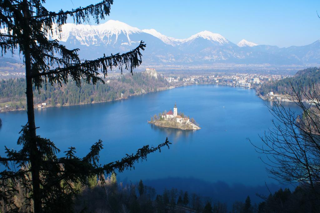 Penzion Zaka Bled Exteriör bild